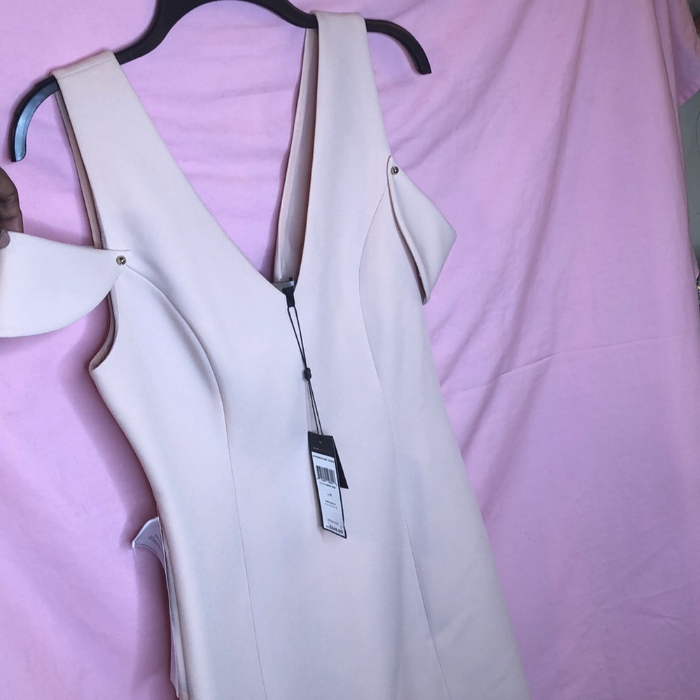 BCBG bare pink dress